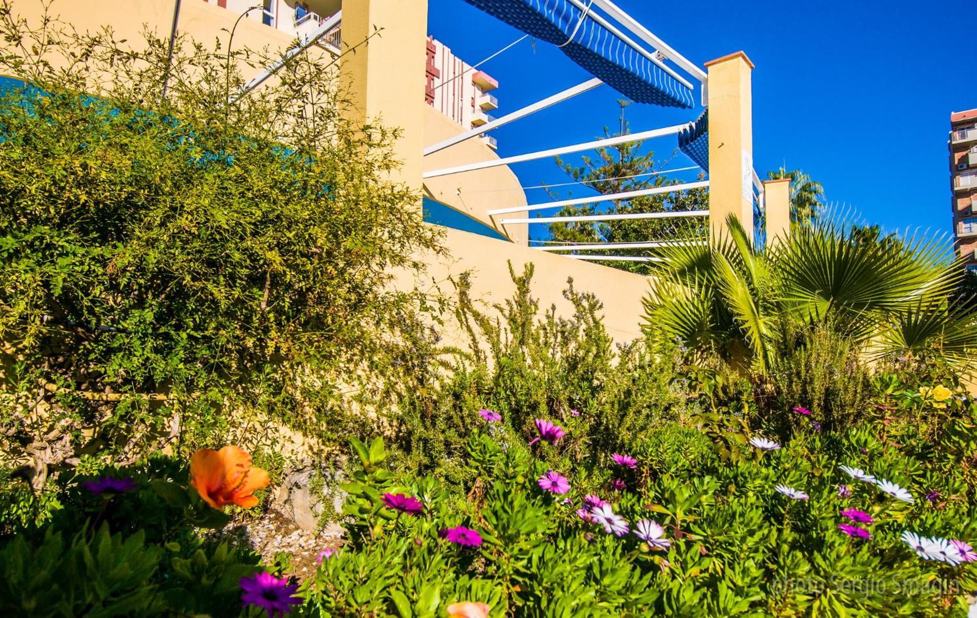102 Estudio En Jupiter Apartmentos - Piscina Y Playa - Excelente Ubicacion 베날마데나코스타 외부 사진