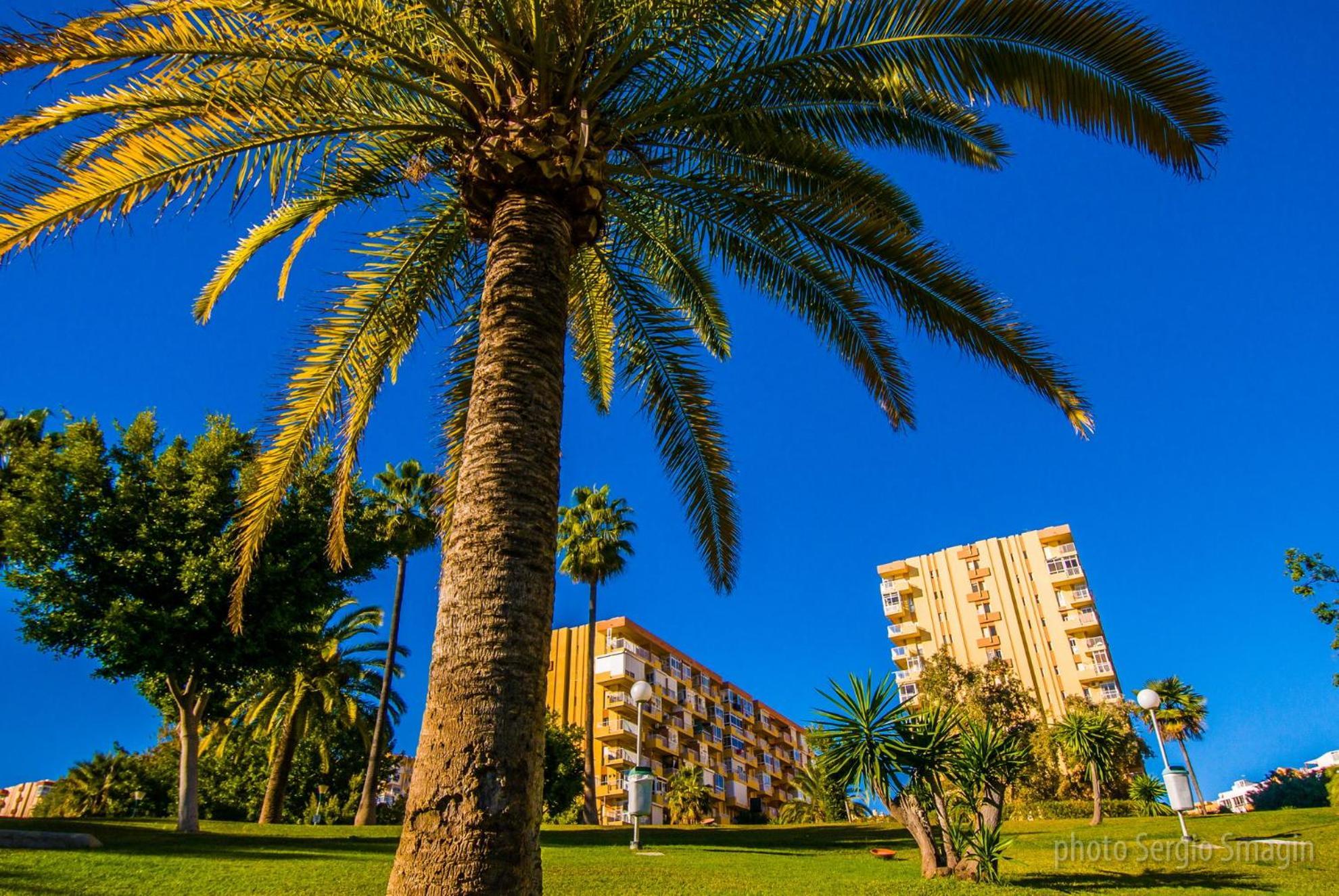 102 Estudio En Jupiter Apartmentos - Piscina Y Playa - Excelente Ubicacion 베날마데나코스타 외부 사진